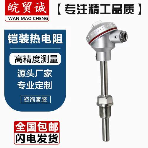 供应WZPK2-496铠装热电阻pt100 -200~500（℃）A/B级 热工仪表