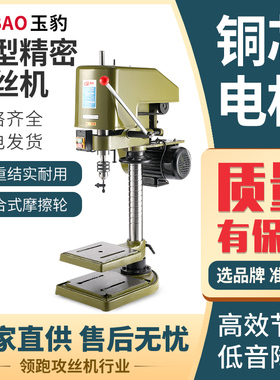 玉豹牌台式攻丝机全自动小型工业级丝攻机电动J攻牙机微型SWJ12/1