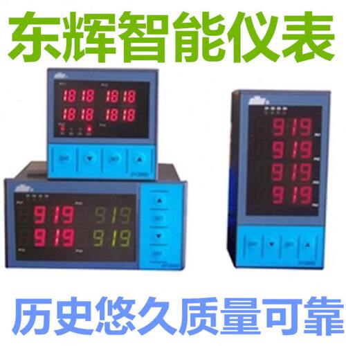 福建东辉大延智能仪表 DY21FE0P DY21FE1P DY22FE0P DY22FE1P4M