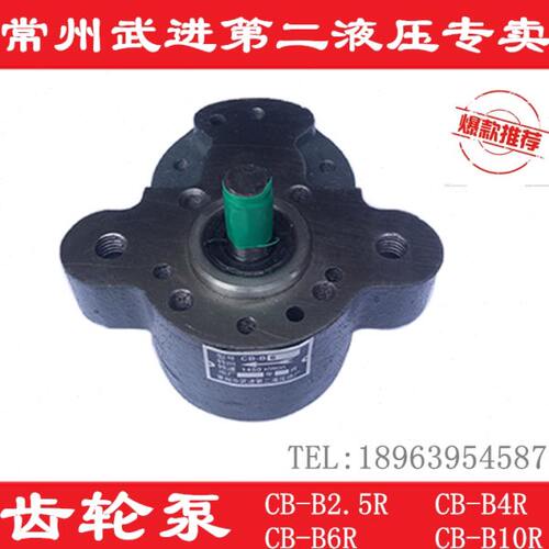 齿轮泵双耳CB-B6/B10/B4/B16/B20/B25/B32/B40/B50/B63R锯床 泵站