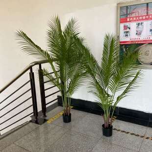北欧高仿绿植造景贵妃葵散尾葵天堂鸟旋人蕉假植物 盆栽装饰