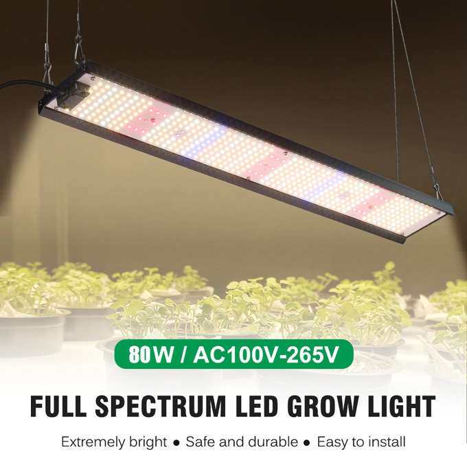 led植物灯量子板长条补光灯全光谱绿植花架多肉蔬菜生长灯跨境80w