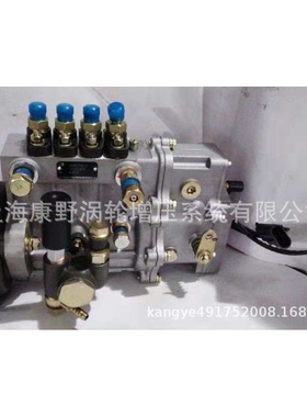 原装喷油泵 电调泵BH4QT95L9 4QTE20和4QTE31 和4QTE32