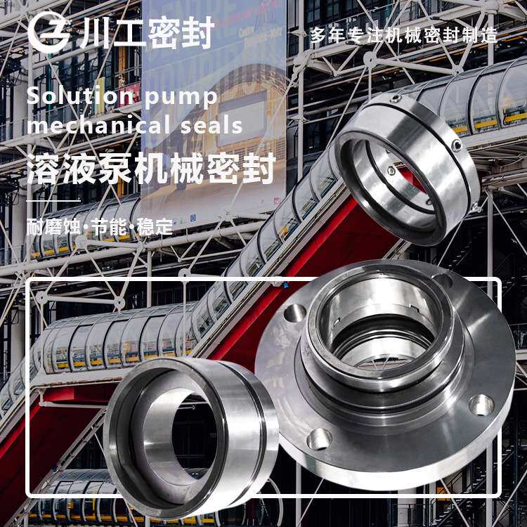 弹簧轴封 SE2-AP-80-QRVQ\250HS-AH 专业用在生产食盐上机械密封