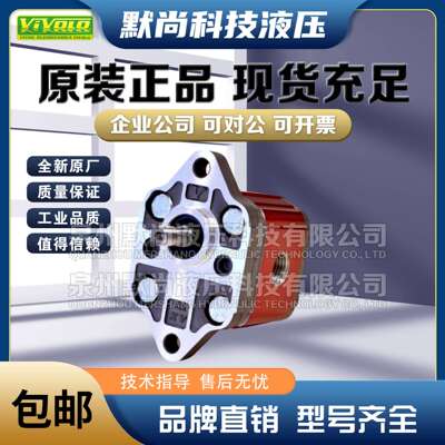 VIVOLO齿轮泵XV-0P/0.17/0.25/0.45/0.57/0.76/0.98/1.27/1.52泵