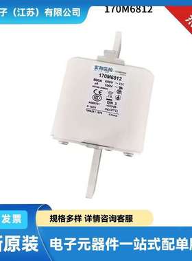 170M6719 170M6720 170M6721 170M6723快速熔断器 保险丝原厂原盒