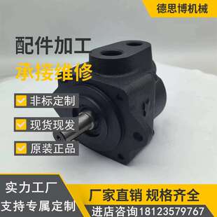DS15P 叶片泵DS11P 20液压油泵 DS14P DS13P DS12P