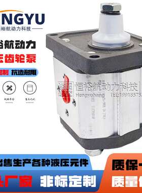 阿托斯液压泵ATOS齿轮泵PFG-174-D-RO PFG-340 PFG-327-D液压油泵