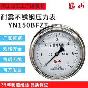 耐震不锈钢压力表YN150BFZT 轴向面板式防水防尘耐腐蚀鹳山压力表