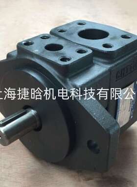 HONGYI YB-E160 YB-E200 子母叶片泵 锻压机械液压泵