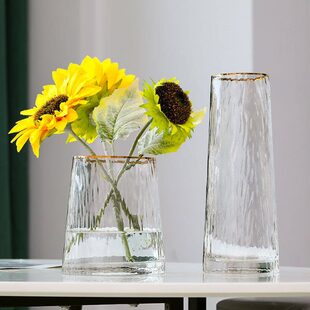田园风玻璃花瓶水养插花轻奢透明玻璃富贵竹百合花卧室装饰品摆件