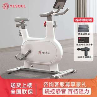 YESOUL野小兽自发电动感单车用智能运健身室内器材静音M2M