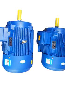 同步电机 TY YT FTY TJYC TYBZ 3000转同步电机