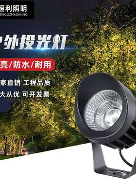 30WLED射树灯COB户外射灯防水照树灯景观led投光灯草坪园林小射灯