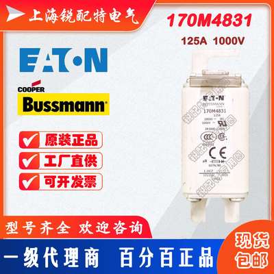 170M4831快速熔断器 1000V 125A 巴斯曼BUSSMANN快速熔断器