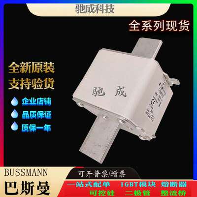 巴斯曼170M6317 170M6318 170M6325 厂家供货 销售 特种保险丝