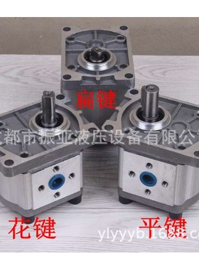 液压油泵CBT-E F CBN-G304 306 308 310 314 316 320 325齿轮油泵