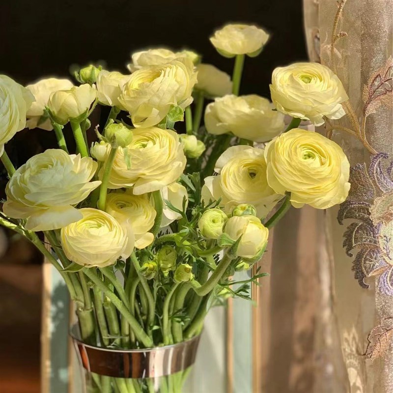 新年鲜花洋c牡丹春节云南基地直发家用插花鲜切花花束真花生日礼