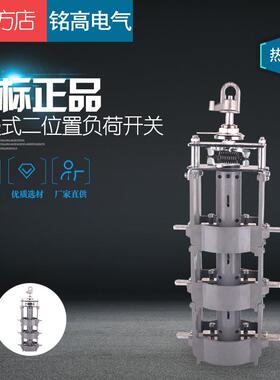 35KV油浸式二工位负荷开关美变二位置开关FYN33-35KV/630A断路器