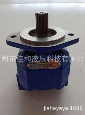 P124B085ERZA12钻机齿轮泵 多种规格 运行稳定
