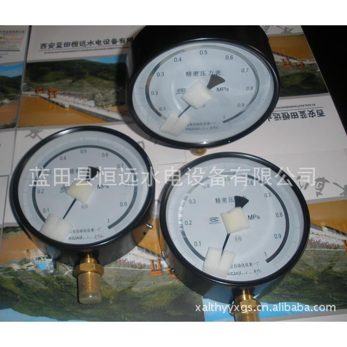 蓝田恒远WXJ型液位信号器图片