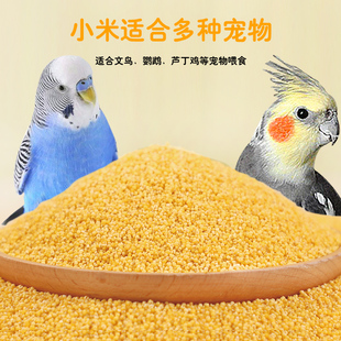 蛋小米珍珠鸟专用鹦鹉断奶期营养文鸟粮食繁殖孵蛋饲料零食用品