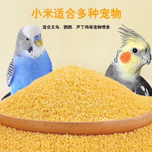 蛋小米珍珠鸟专用鹦鹉断奶期营养文鸟粮食繁殖孵蛋饲料零食用品