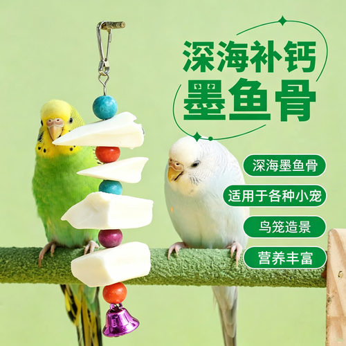 冠之亚鹦鹉墨鱼骨磨牙玩具零食
