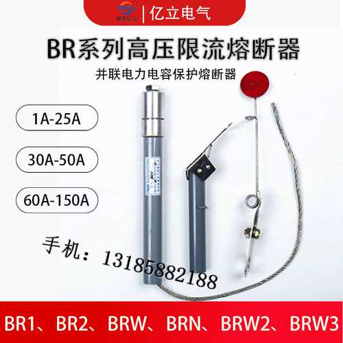 并联电容熔断器BR1 BR2-10-12KV/40A42A43A45A46A47A48A50A52A55A