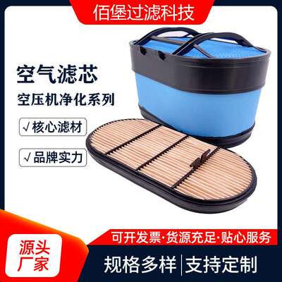 蜂窝空气滤芯P607955  空气滤清器佰堡过滤
