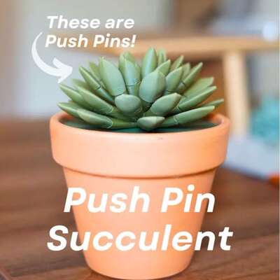 3D打印多肉仿真盆栽亚马逊跨境爆款Push pin succulent