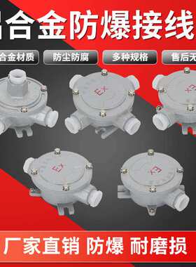 隔爆2C级CT6防爆接线盒 螺纹盖板 防爆三通 IIC四吊盖防爆接线盒