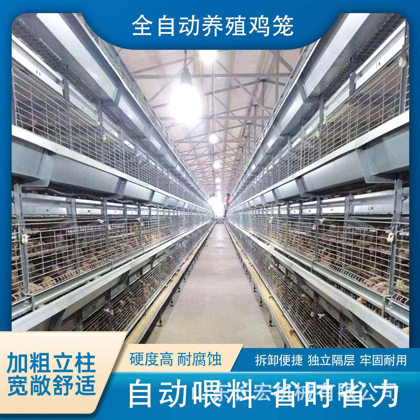 全自动蛋鸡笼四层清粪鸽子笼层叠式H型立式养鸡设备鹌鹑养殖笼具