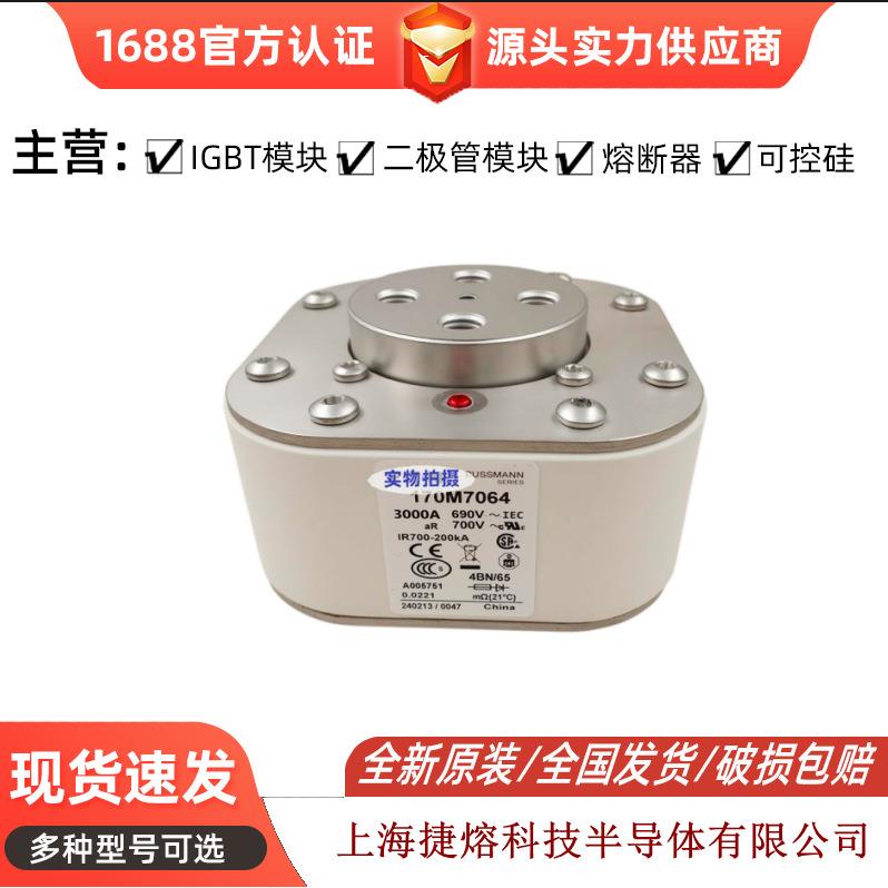 170M7064 快速熔断器 保险丝 电子元器件 量大价优 可开专票