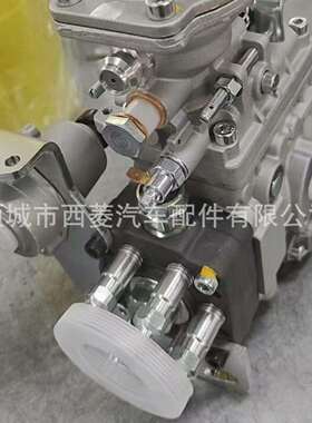 燃油柴油喷射泵 0460416085 D4BB 燃油泵 VE6/11F1800L363-2