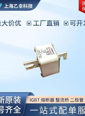 巴斯曼熔断器 170M5310 170M5311 170M5312 170M5313 170M5314