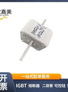 170M6161 170M6163 快速熔断器 保险丝 电子元器件 量大价优