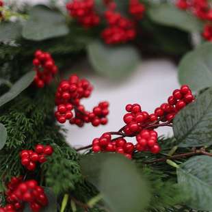 跨境亚马逊春日浆果仿真尤加利桉树叶花环圣诞节门窗挂饰人造花环
