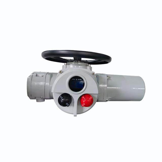 DZW20电动执行器生产厂家电动闸阀电动头Z20智能一体化远程4-20mA