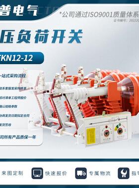 FN12-12RD/125户内高压负荷开关FKN12-12kv/630a负荷开关10kv