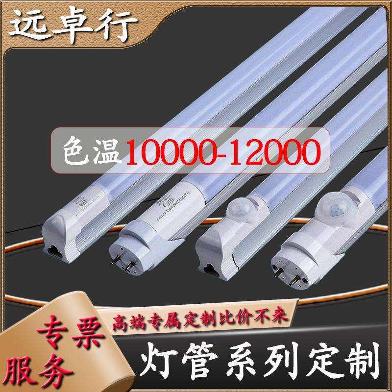 高色温光效灯管led10000-12000流氓t8t5分体一体化感应雷达微波