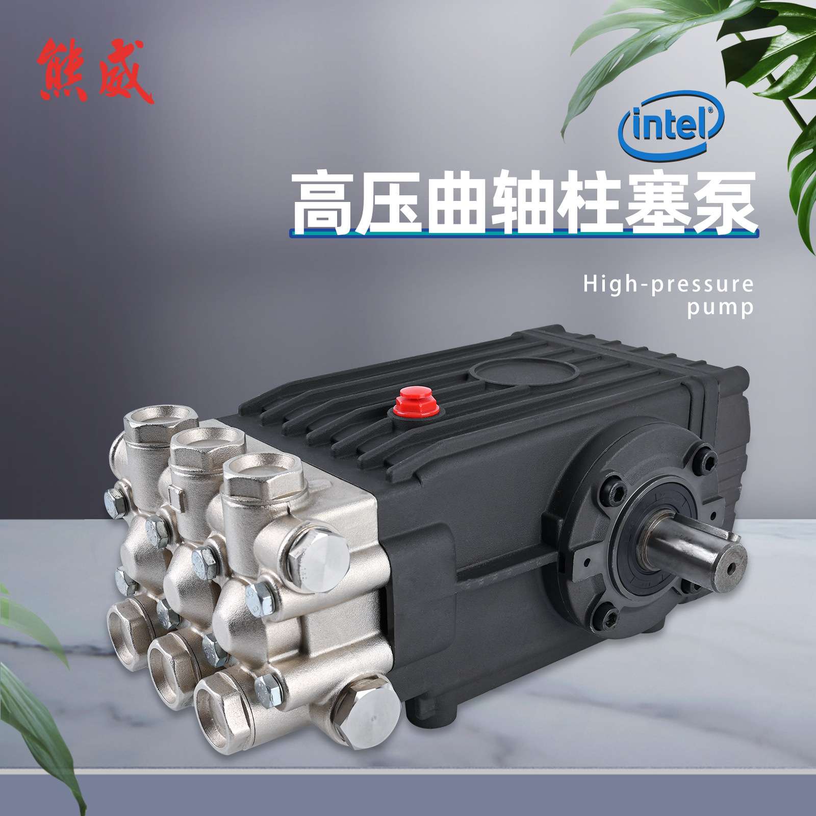 高压清洗机曲轴泵三柱塞铜泵兼容Interpump WS101 102 201 202