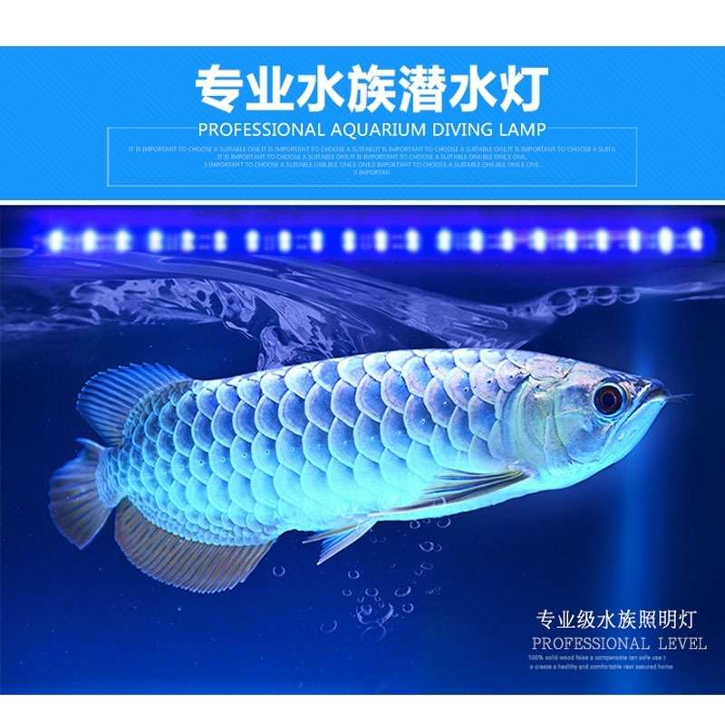 鱼缸灯LED双排鱼缸灯潜水灯水族箱照明灯超亮遥控多色水中灯