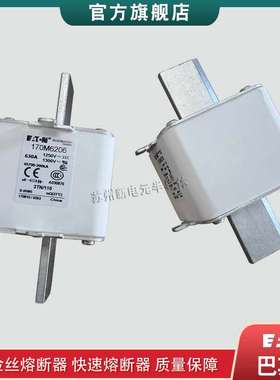 170M6202 6203 6206 6207 6229 6256 6277 6281 6299巴斯曼熔断器