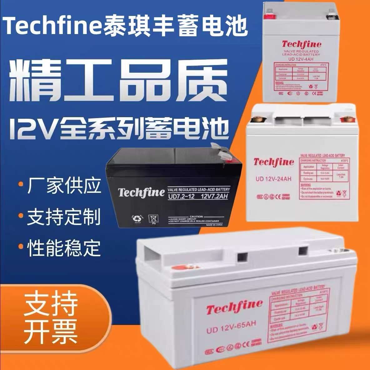 Techfine泰琪丰蓄电池UD12V100 24 38 40 65 120AH机房直流屏专用