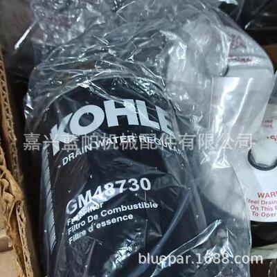 滤芯GM32809 GM48727 GM48728 GM48729 GM48730 GM87479 GM86446