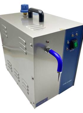 3L蒸汽清洗机电动高压首饰电镀表面清洁去渍蒸汽机DS300-4K清洁机