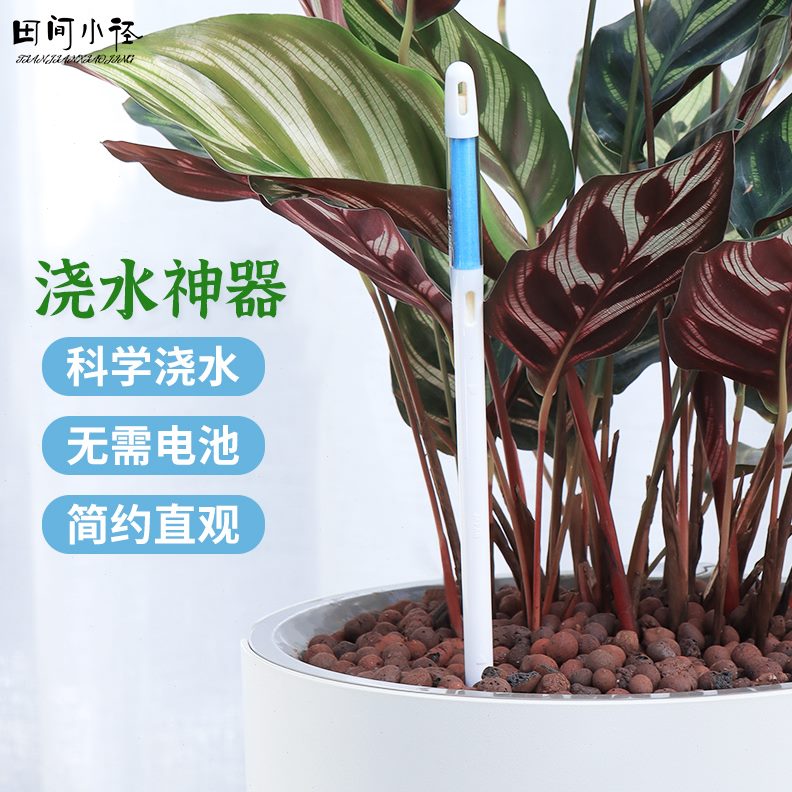 土壤SU草花水湿检测仪度EE计ST仪信日本分度提醒植物花进口水湿缺