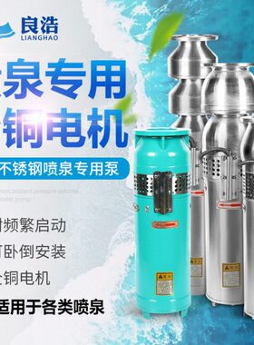 Q别墅潜水泵24S-喷泉SP假山泵30泵喷泉景观区喷泉2.65小7Q-不锈钢