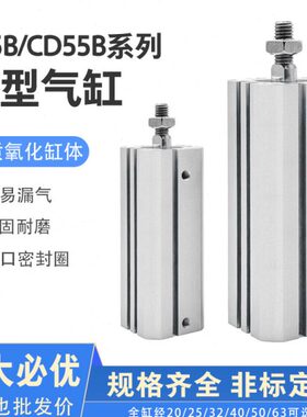 M45//60-3C薄20B-30B-CD815-008型55--61010气缸-/Z0-1055-035